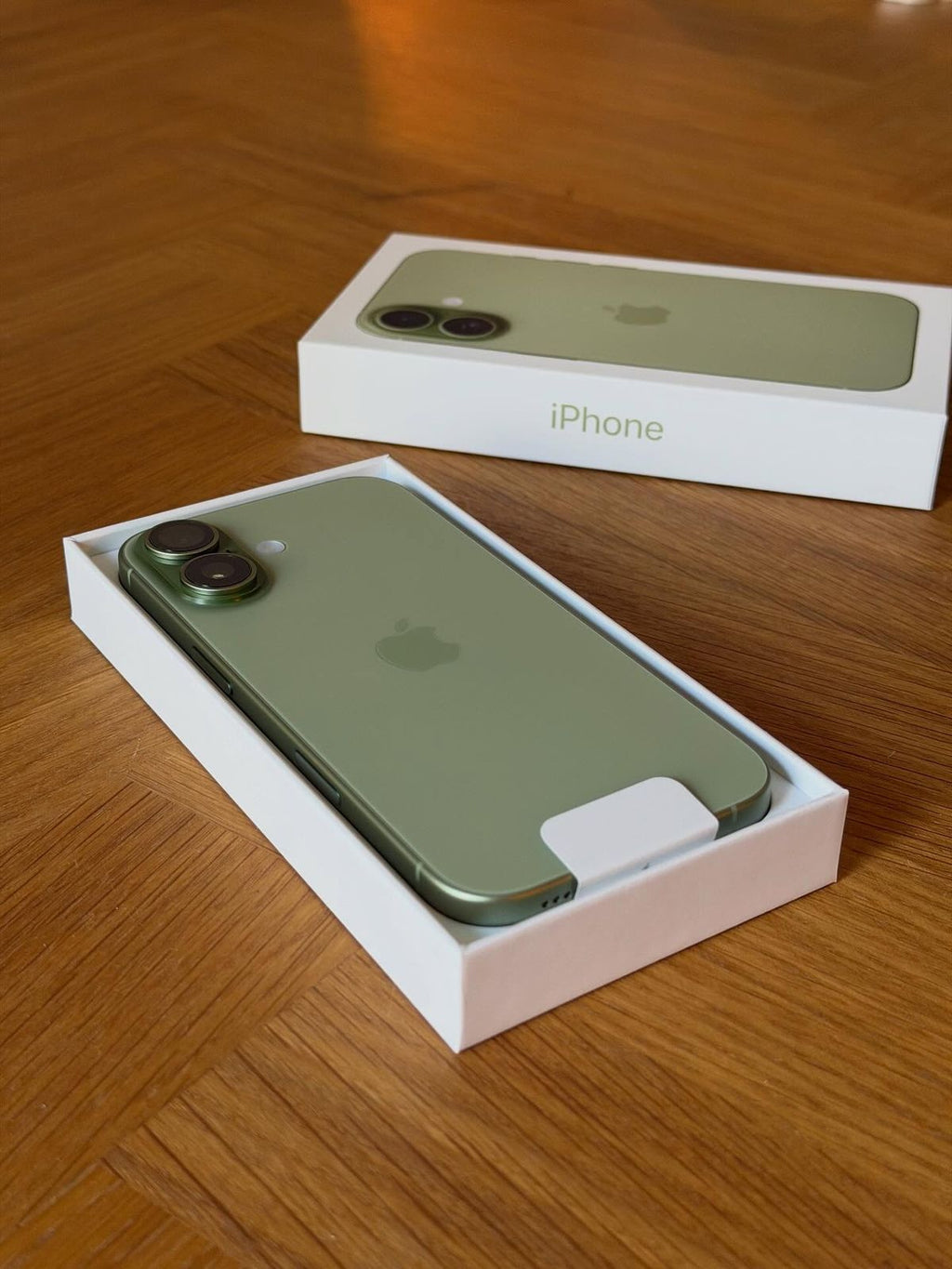 iPhone 17 (256GB) Sage