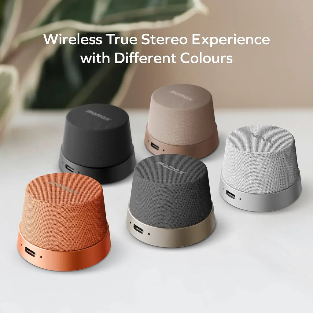 1-Vibe Go Magnetic Portable True Wireless Speaker (Titanium)