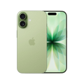 iPhone 17 (256GB) Sage