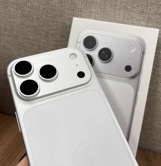 iPhone 17 Pro Max (256GB) Silver