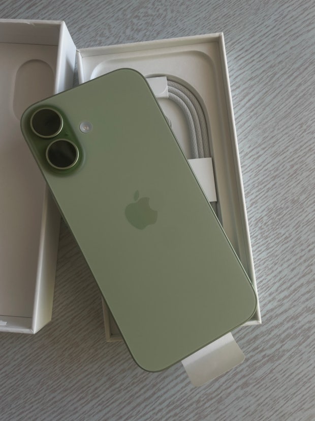 iPhone 17 (256GB) Sage