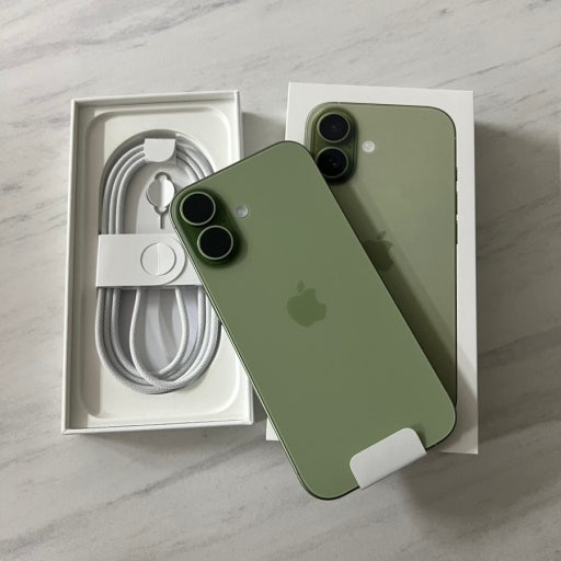 iPhone 17 (256GB) Sage